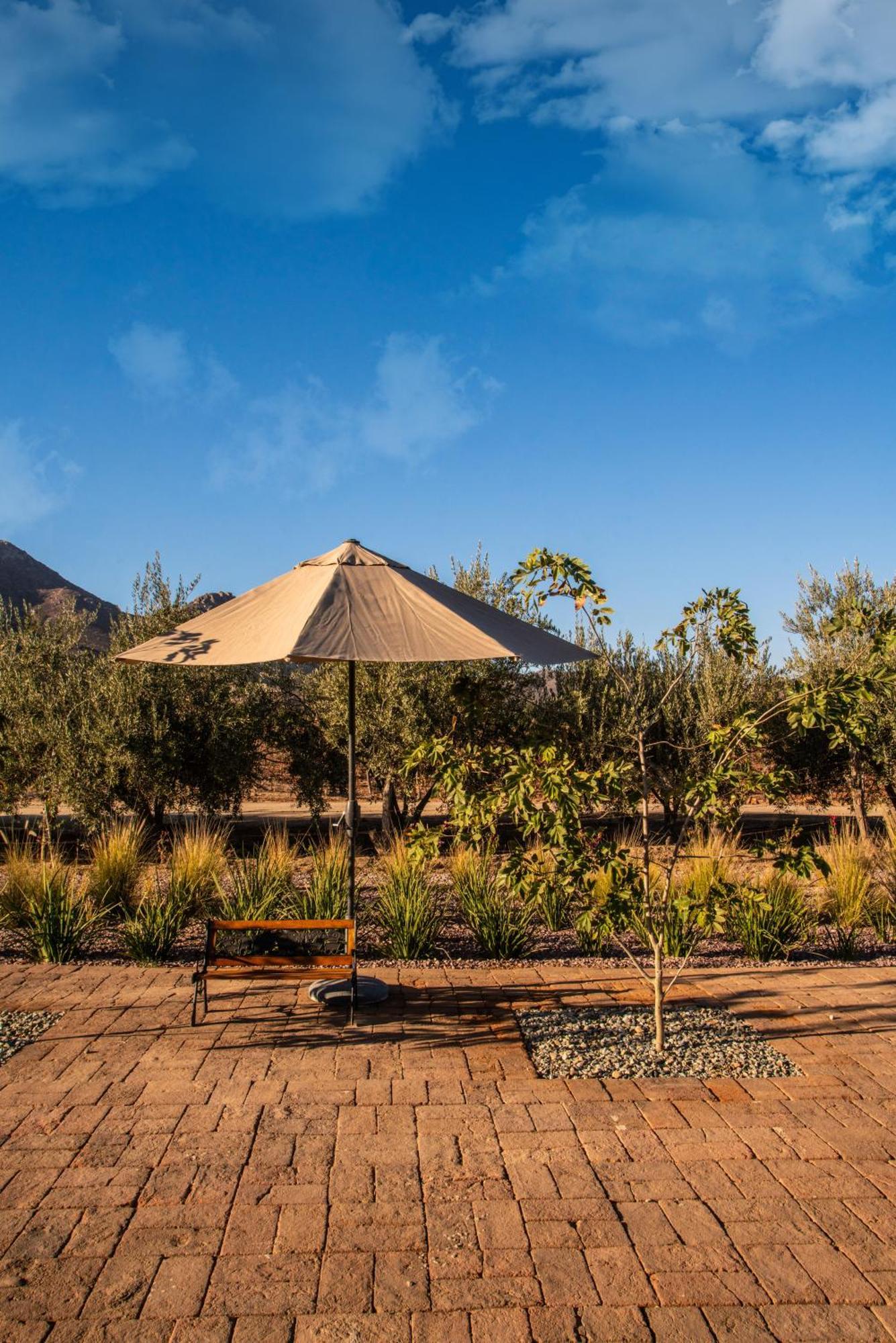 Hotel Flores De Sal-Valle De Guadalupe Extérieur photo
